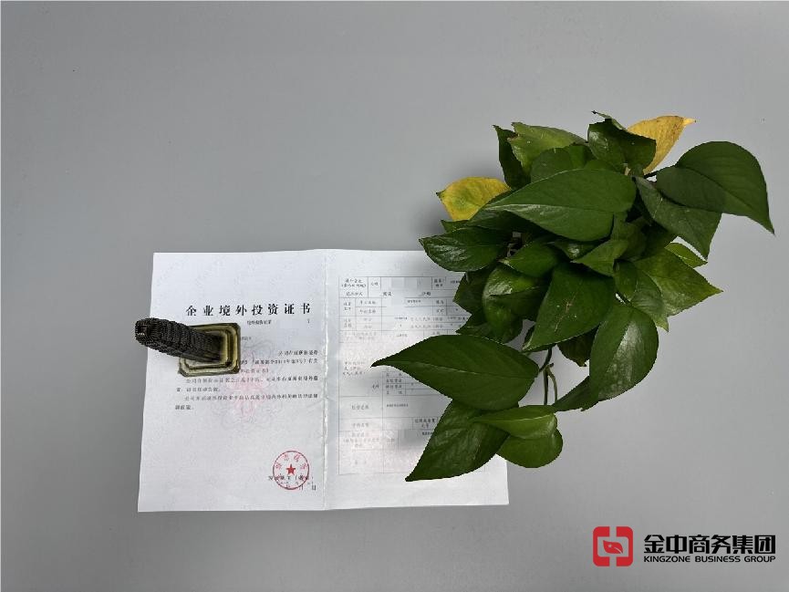 新加坡ODI備案登記 新加坡ODI備案登記